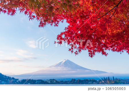 （山梨県）河口湖畔の紅葉と富士山　朝 106505003