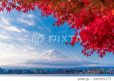 (山梨県)河口湖畔のモミジ紅葉と富士山 (山梨県)河口湖畔のモミジ紅葉と富士山 106505175