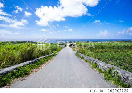 海へ続く道 106505227