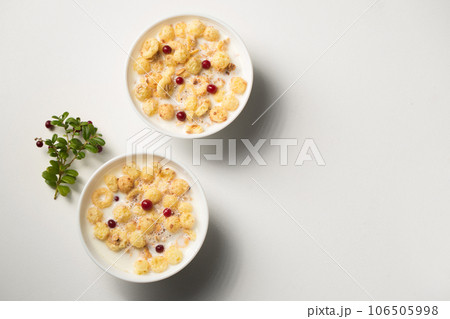 Breakfast cereal with granola, berries and milk in small bowls Breakfast cereal with granola, berries and milk in small bowls 106505998