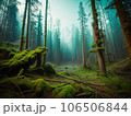 幻想的な森の中の風景 106506844