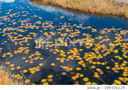 燃える秋 紅葉に色づく尾瀬 燃える秋 紅葉に色づく尾瀬 106508224