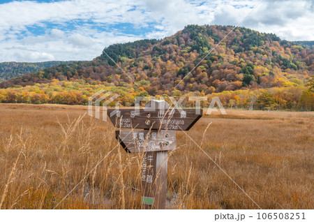 燃える秋 紅葉に色づく尾瀬 燃える秋 紅葉に色づく尾瀬 106508251