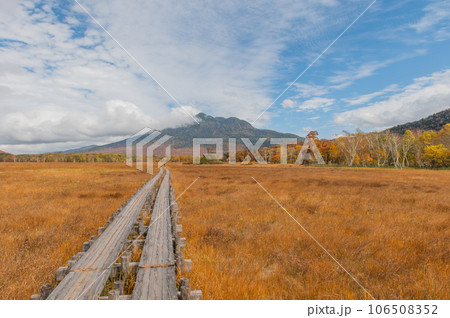 燃える秋　紅葉に色づく尾瀬 106508352