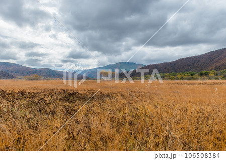 燃える秋　紅葉に色づく尾瀬 106508384