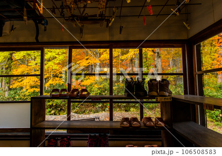 燃える秋　紅葉に色づく尾瀬 106508583