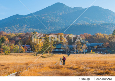 燃える秋 紅葉に色づく尾瀬 燃える秋 紅葉に色づく尾瀬 106508598