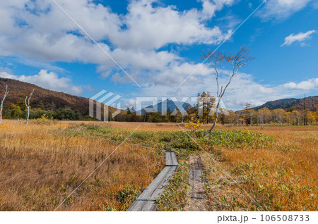 燃える秋　紅葉に色づく尾瀬 106508733