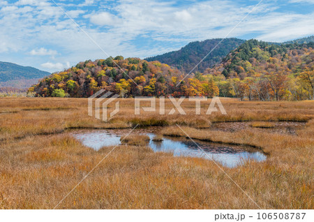 燃える秋 紅葉に色づく尾瀬 燃える秋 紅葉に色づく尾瀬 106508787