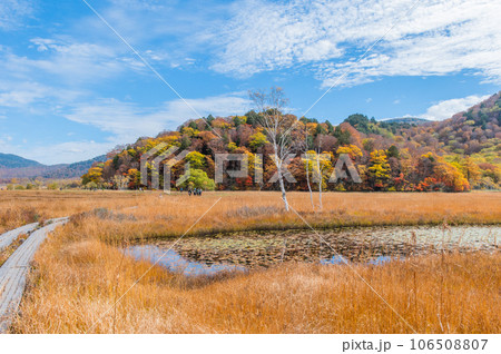燃える秋 紅葉に色づく尾瀬 燃える秋 紅葉に色づく尾瀬 106508807