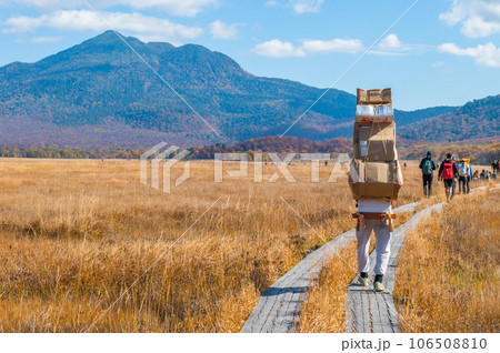 燃える秋　紅葉に色づく尾瀬 106508810