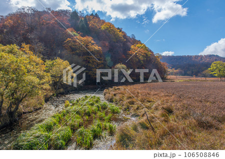 燃える秋 紅葉に色づく尾瀬 燃える秋 紅葉に色づく尾瀬 106508846