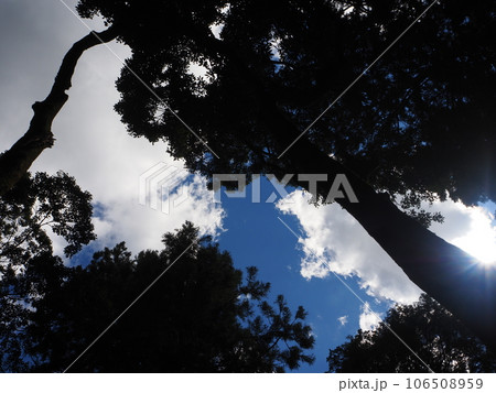 幻想的な夏空 幻想的な夏空 106508959