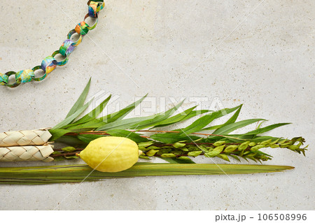 Jewish festival of Sukkot. Sukkot traditional symbols. Four species etrog, lulav, willow and myrtle. Jewish festival of Sukkot. Sukkot traditional symbols. Four species etrog, lulav, willow and myrtle. 106508996