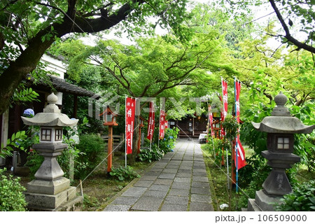 伏見区　長建寺の参道と本堂 106509000