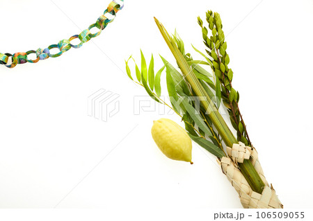 Jewish festival of Sukkot. Sukkot traditional symbols. Four species etrog, lulav, willow and myrtle. 106509055