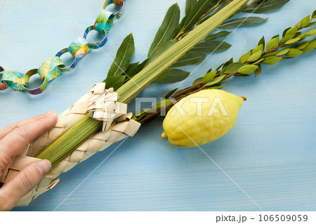 Jewish festival of Sukkot. Hand holding Sukkot festival symbols 106509059