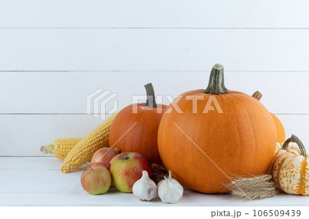 Harvested autumn food 106509439