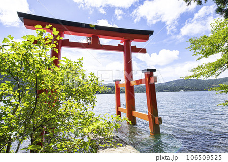 箱根神社　平和の鳥居 106509525