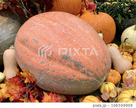 106509909