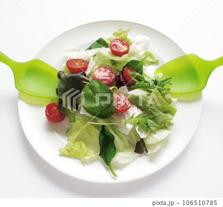 野菜サラダ グリーンサラダ サラダを混ぜる サーバー 野菜サラダ グリーンサラダ サラダを混ぜる サーバー 106510785