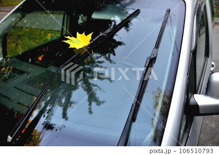 yellow maple leaf on car glass, reflection in the glass autumn trees beautiful glare, after rain yellow maple leaf on car glass, reflection in the glass autumn trees beautiful glare, after rain 106510793