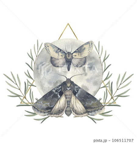 Watercolor night moth and moon isolated on white background. Hand drawn vintage illustration. Night butterfly. Design for card, tattoo, invitation, greeting, letter, poster, cover, logo. Watercolor night moth and moon isolated on white background. Hand drawn vintage illustration. Night butterfly. Design for card, tattoo, invitation, greeting, letter, poster, cover, logo. 106511707