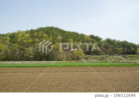 Bicycle path along Yeongsangang River 106512699
