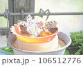 蝶 106512776