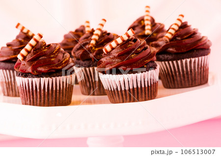 Small dark chocolate cupcakes at dessert bar. 106513007