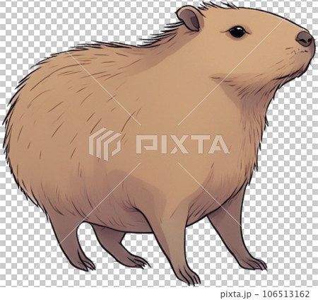 Capybara character 106513162