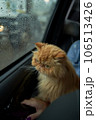 Pet with owner in the car on the seat. Traveling with an animal. 106513426