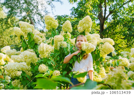 Cute teenage girl in flowering hydrangea bushes. 106513439