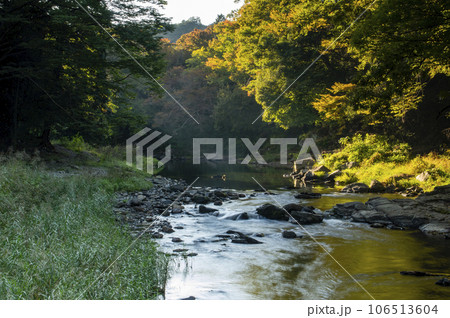 秋の嵐山渓谷の川 106513604