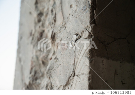 Close-up plan of a concrete wall and rebar cut with a circular diamond saw.  106513983