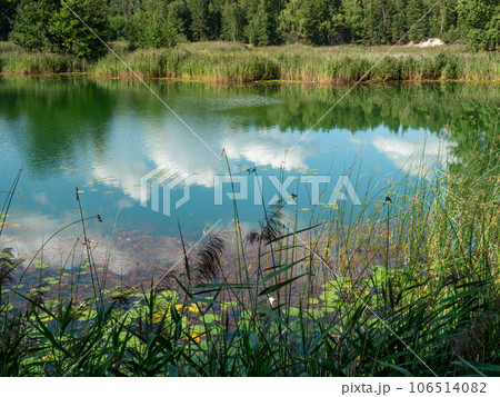 Poisoned lake in opencast mine Muzakow, Leknica Poisoned lake in opencast mine Muzakow, Leknica 106514082