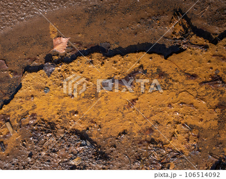 Grass and leaves cought in ferric mud. The chemical rests 106514092