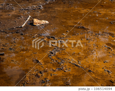 Red mud on the open lignite mine lake. Geopark Bad Muskau Leknica. 106514094