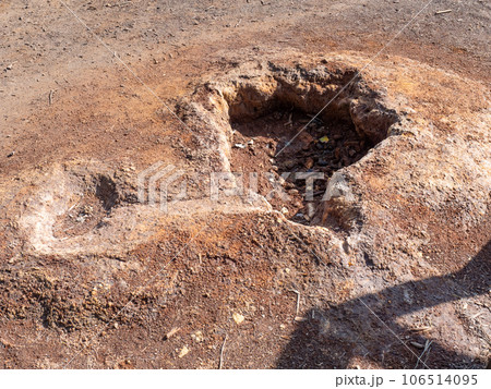 Dry ferric mud and rusty sand. Leknica Muzakow coal quarry. 106514095