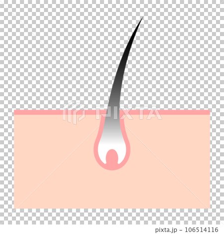 髮根變灰 106514116