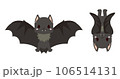 飛んでいるコウモリとぶら下がっているコウモリ 106514131