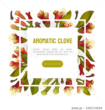 Clove Flower Banner Design with Blooming Plant Vector Template Clove Flower Banner Design with Blooming Plant Vector Template 106514684