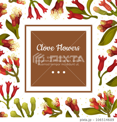 Clove Flower Banner Design with Blooming Plant Vector Template Clove Flower Banner Design with Blooming Plant Vector Template 106514689