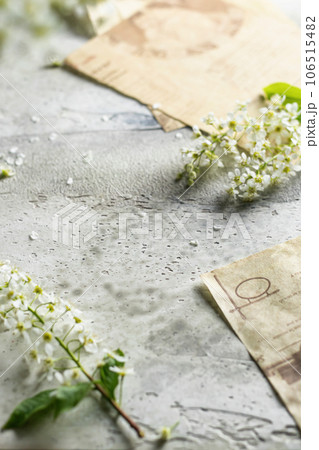 Bird cherry flowers and vintage scrapbook on textured background. Spring background, place for text 106515482