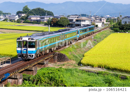 【徳島線】早朝の田園地帯を駆ける特急剣山 106516421