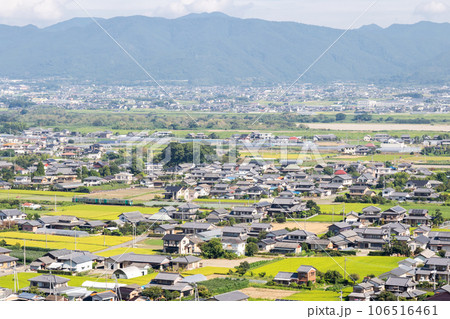 【徳島線】吉野川市街地を駆ける普通列車 106516461