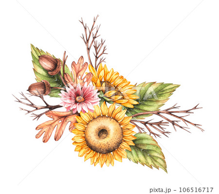 Watercolor autumn composition with autumn sunflower flowers, chrysanthemums, wilted leaves isolated on white background 106516717