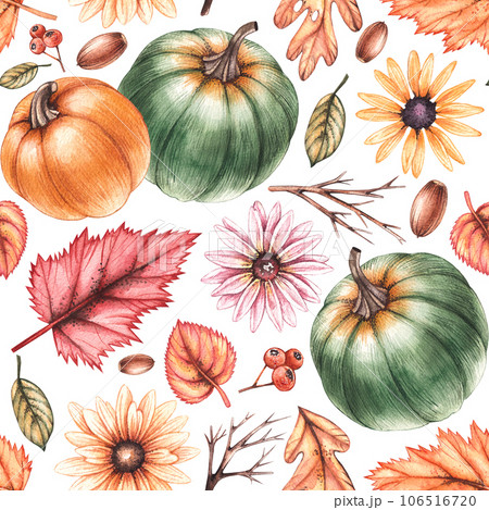 Watercolor autumn pattern with pumpkins, flowers, withered leaves on a white background 106516720