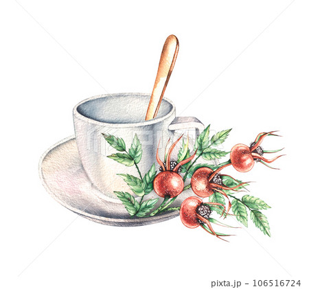 Watercolor tea cup and saucer with rosehip branch Watercolor tea cup and saucer with rosehip branch 106516724
