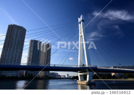 辰巳桜橋 106516912